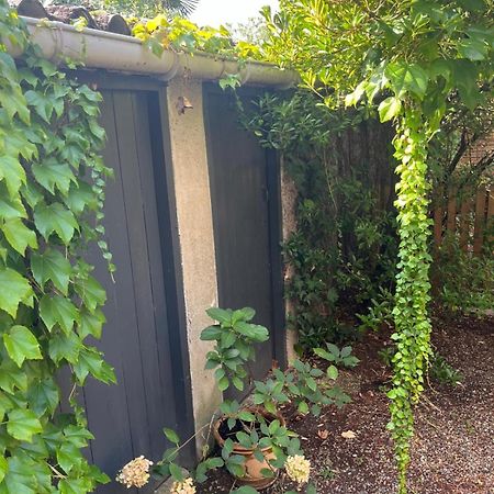 Appartement Cosy Avec Jardin Quartier Calme Тулуза Екстериор снимка